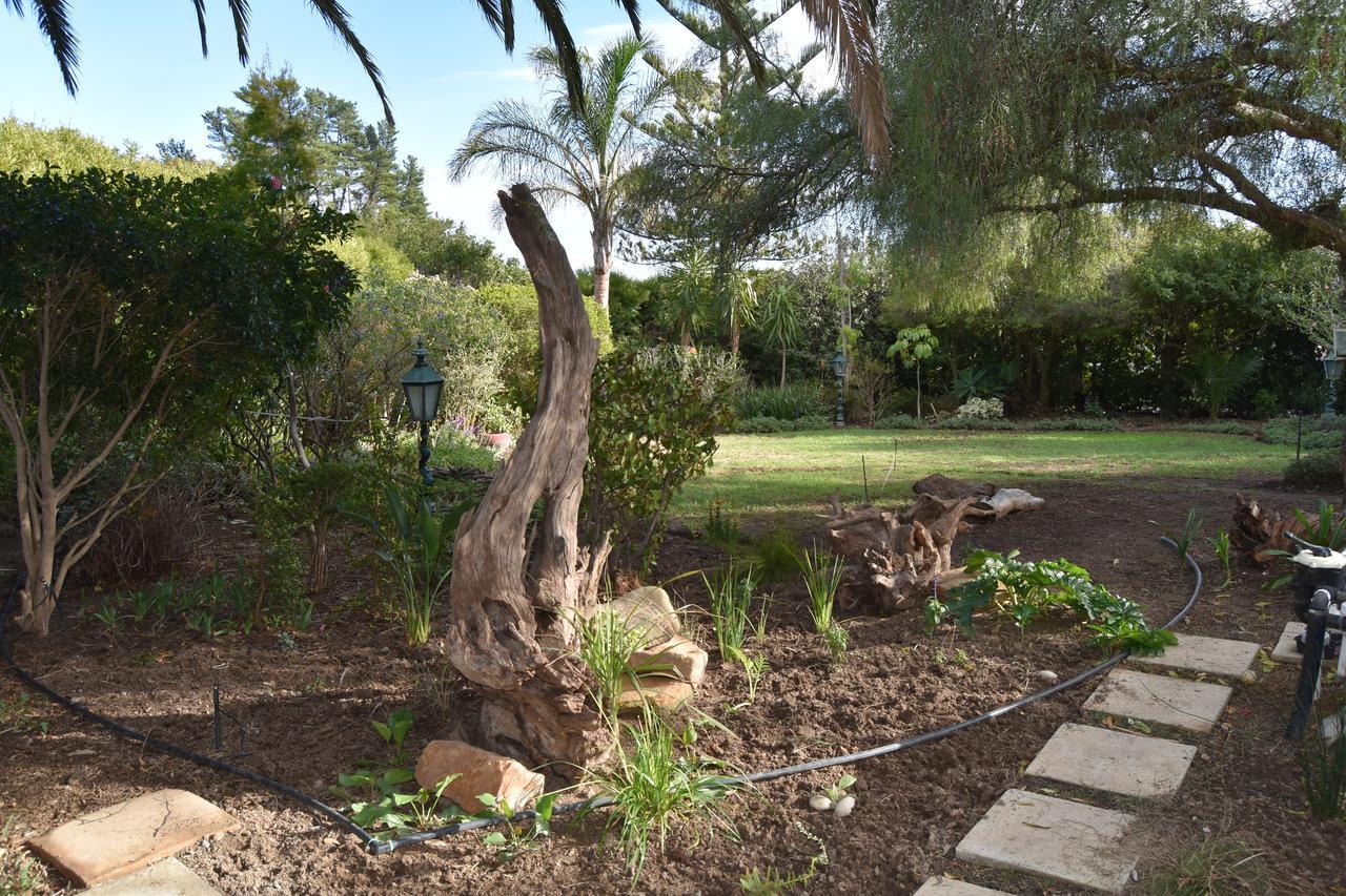 غرب سومرست Almond Cottage Bed & Breakfast المظهر الخارجي الصورة