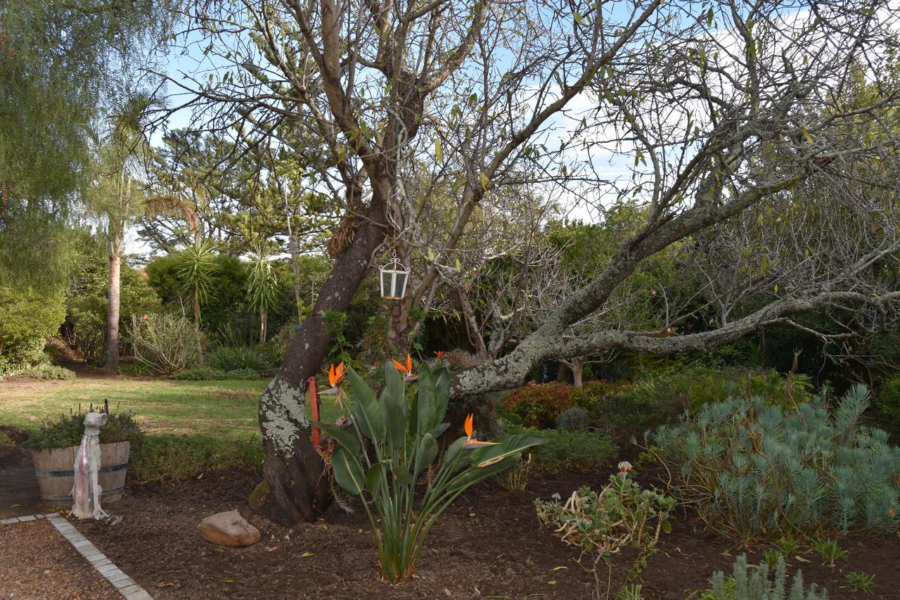 غرب سومرست Almond Cottage Bed & Breakfast المظهر الخارجي الصورة