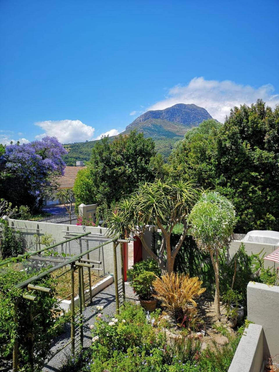 غرب سومرست Almond Cottage Bed & Breakfast المظهر الخارجي الصورة