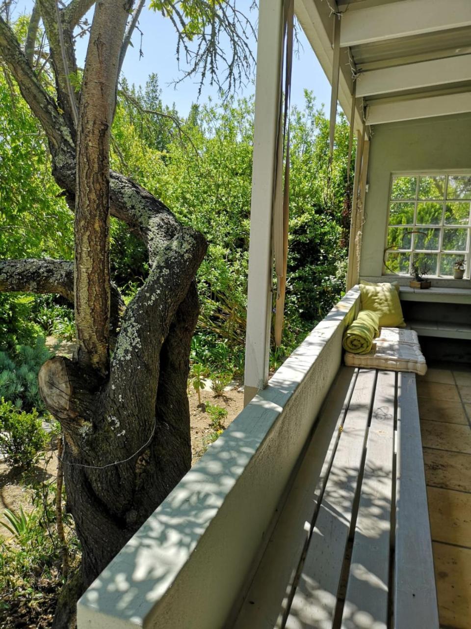 غرب سومرست Almond Cottage Bed & Breakfast المظهر الخارجي الصورة