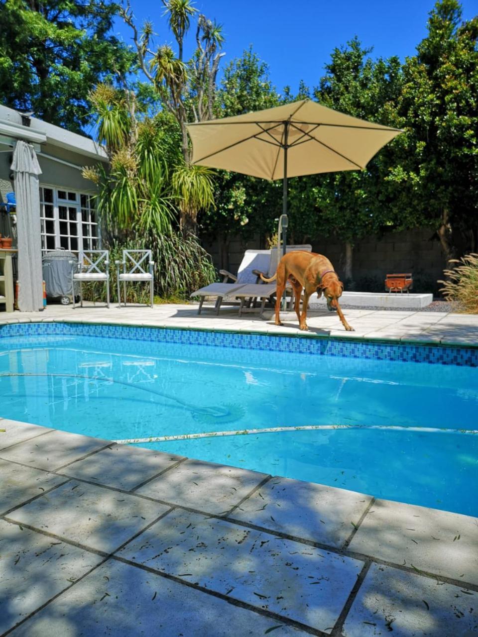 غرب سومرست Almond Cottage Bed & Breakfast المظهر الخارجي الصورة